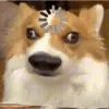 1004406