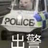 1005753