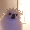 1025313
