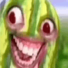1028558