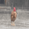 1028990