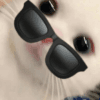 1029411
