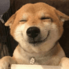 1030620