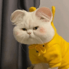 1038983