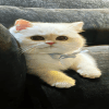 1039236