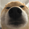 1042671