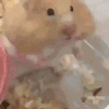 1044966