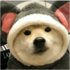 1063628