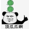 1074475