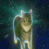 1079691