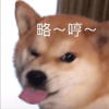 1084121