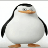 1094673