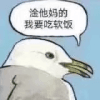 1097354