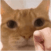 1098125