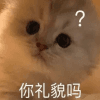 1103488