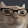 1119762