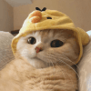 1122366