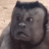 1123725