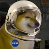 1129313