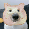 1142971