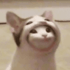 1154492