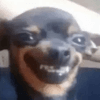 1167203