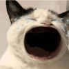 1225615