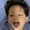 1261529