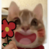1270268