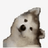 1296337