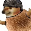 1302761