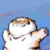 1311669