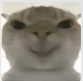 1382592