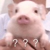 1475246