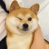 1491459