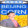 1516961