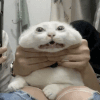 1570387