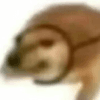 1574492