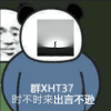 240799