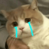 259560