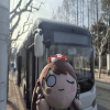 28419