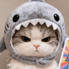 352536