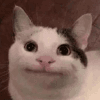 384595