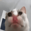 385263
