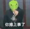 43306