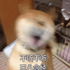 445211