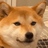 449009