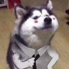479397