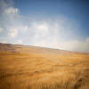 497950