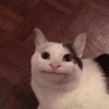 536447